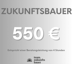 Beratung 4h
