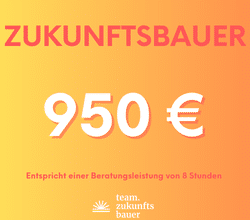 Beratung 8h